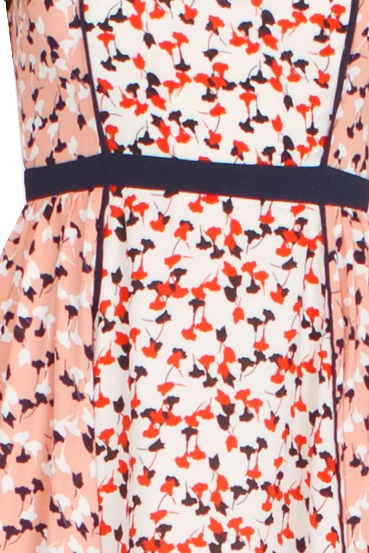 Roses and Dress