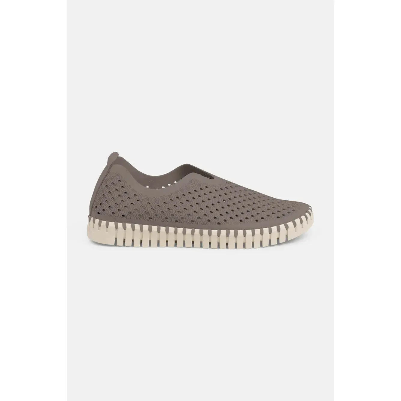 Tulip Flats | Falcon