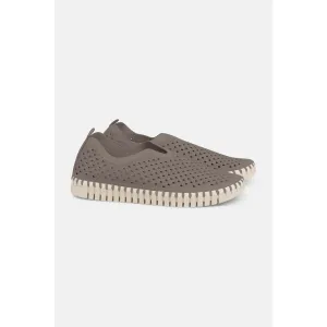 Tulip Flats | Falcon