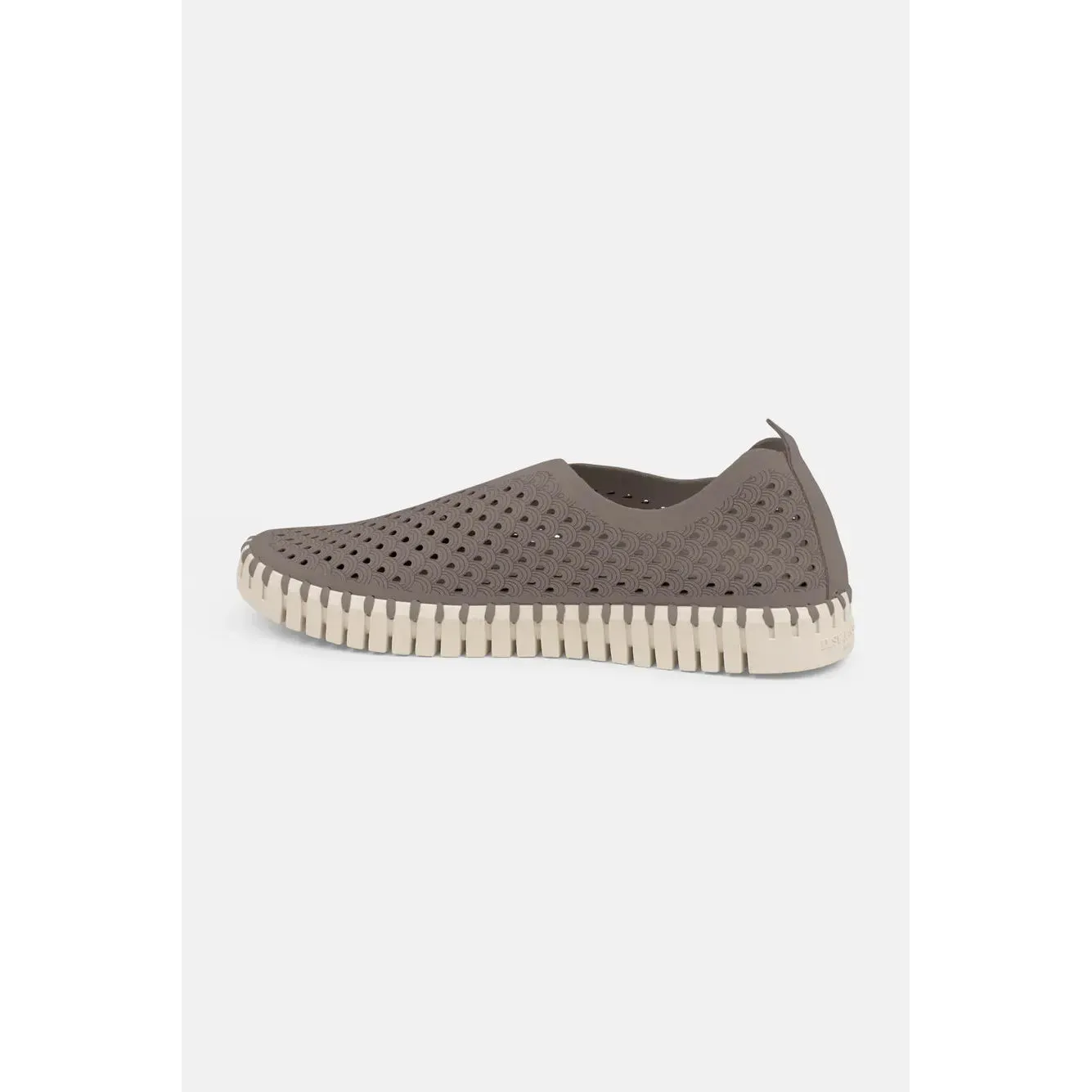 Tulip Flats | Falcon